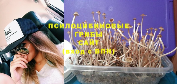 бутират Гусев
