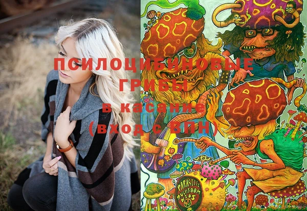 марки lsd Гусиноозёрск