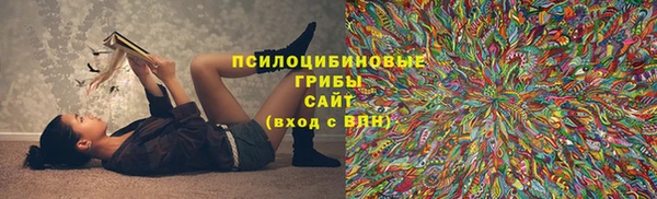 бутират Гусев
