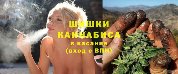 бутират Гусев